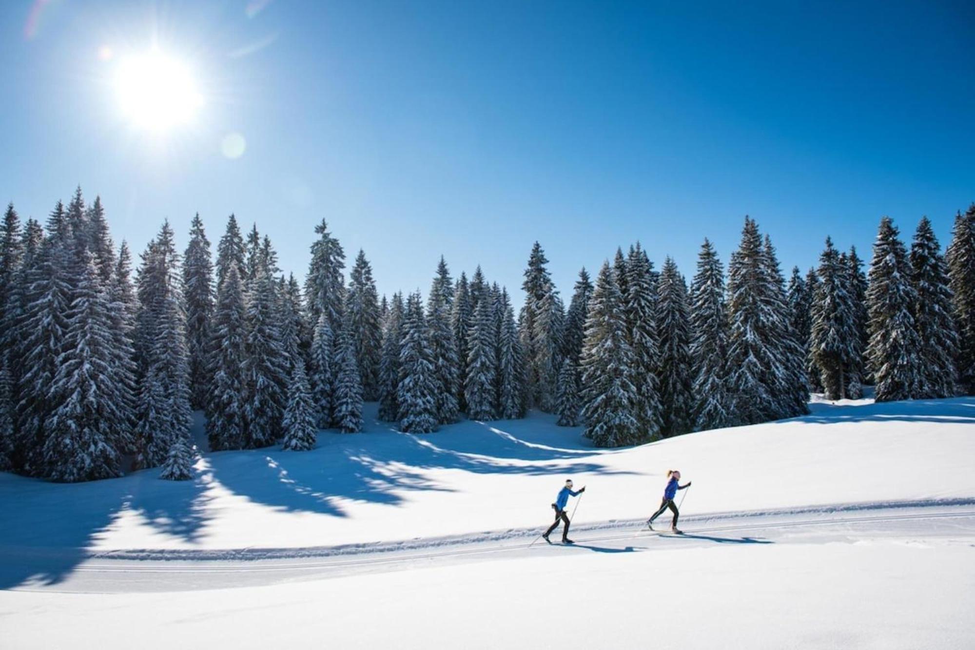 Superbe Appartement Au Pied Des Pistes -Le Chamois Les Déserts Eksteriør bilde