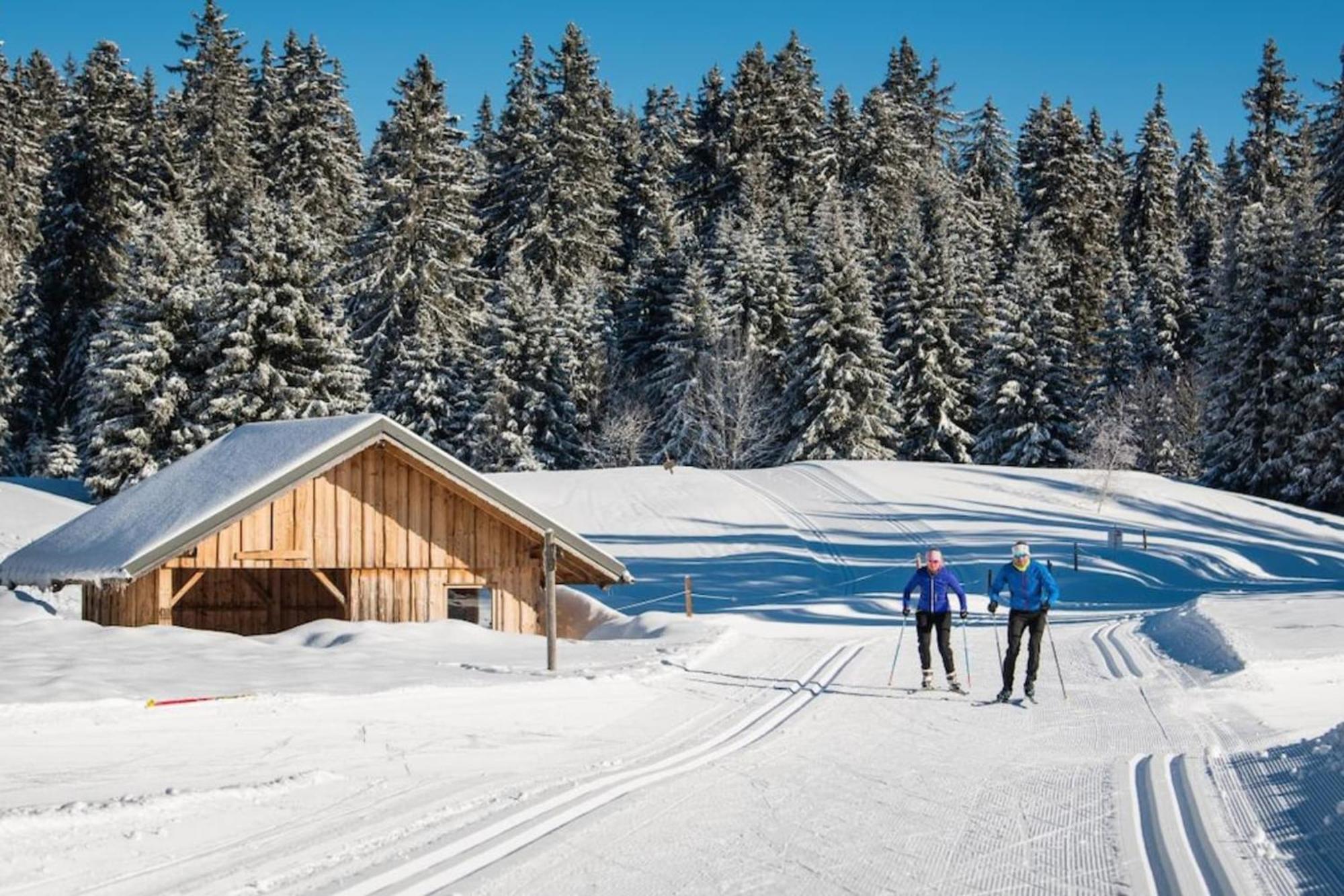 Superbe Appartement Au Pied Des Pistes -Le Chamois Les Déserts Eksteriør bilde